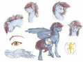pony_commish__lightning_by_earthsong9405-d63irm6.jpg